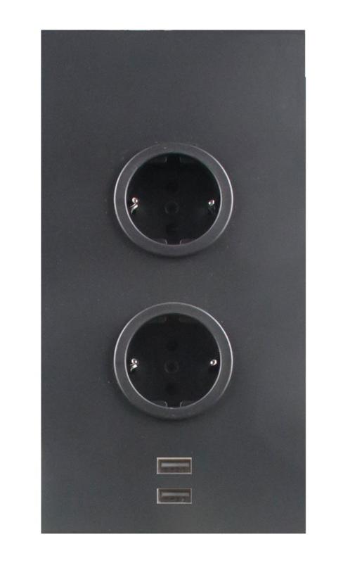 Indux Colonne d'alimentation avec 2 prises de terre et 2 chargeurs USB Gun metal 1208955890