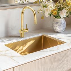 Robinet de cuisine Reginox Flint pvd gold avec bec pivotant et extractible R36013