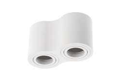 Decor Ceiling fixture AVEIRO DUO aluminium 160x80x85mm IP20 max 20W*2 round white 1208963827