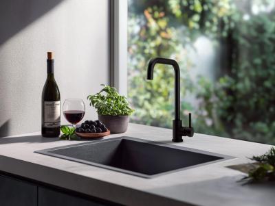 Robinet de cuisine Pure.Sink Elite Steel Pure noir mat PS8010-10