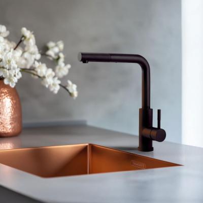 Robinet de cuisine Pure.Sink Elite Steel Spark-S Noir Mat avec bec extensible PS8041-10