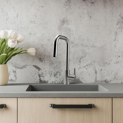 Robinet de cuisine Pure.Sink Elite Steel Crystal-S en inox avec bec extensible PS8050-02