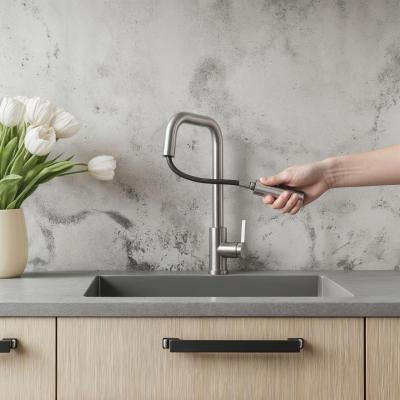 Robinet de cuisine Pure.Sink Elite Steel Crystal-S en inox avec bec extensible PS8050-02